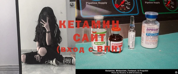 шишки Магадан