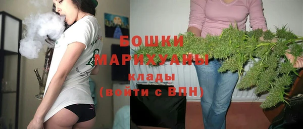 гашик Майский