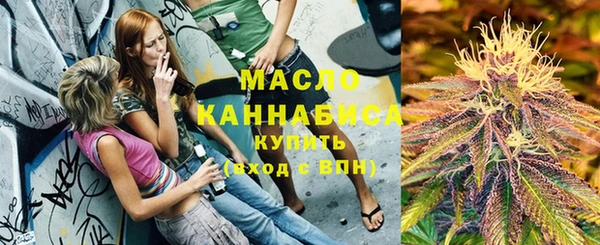 гашик Майский