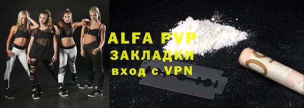 гашик Майский