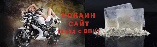 шишки Магадан