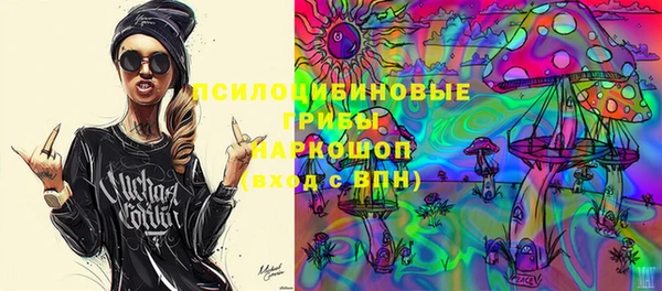 шишки Магадан