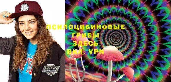 шишки Магадан