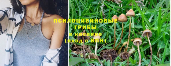 шишки Магадан