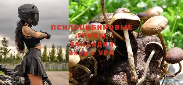 шишки Магадан