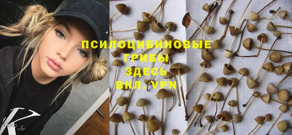 гашик Майский