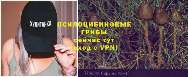шишки Магадан