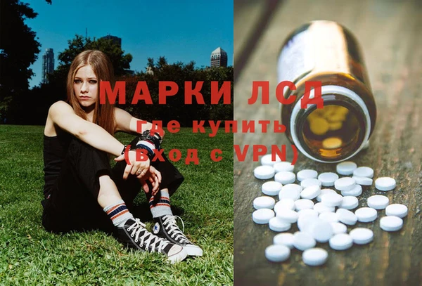 гашик Майский