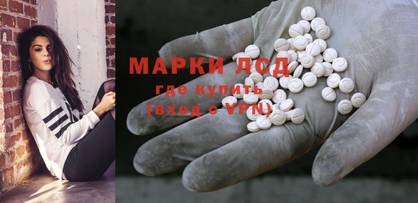гашик Майский