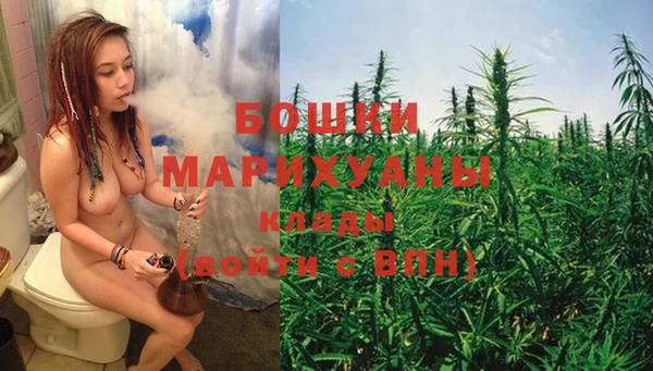 гашик Майский