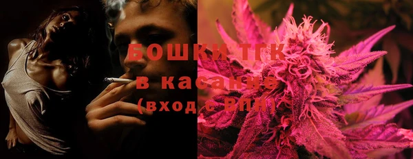 шишки Магадан