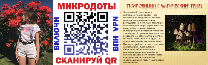 купить закладку  Владимир  Псилоцибиновые грибы GOLDEN TEACHER 